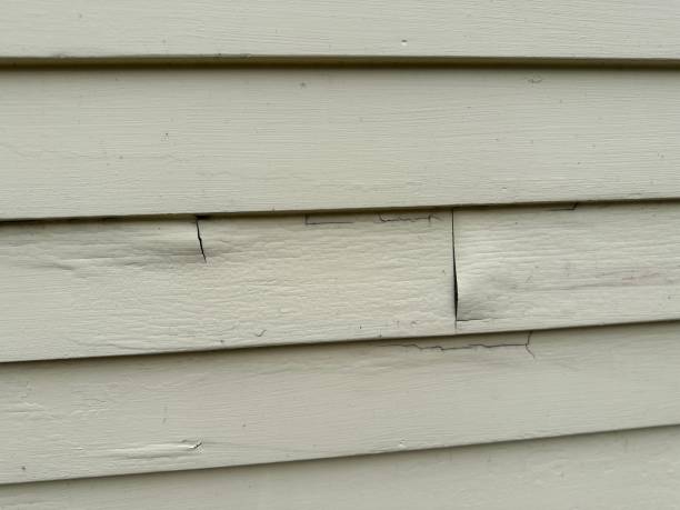 Best Property Management Cleanouts  in Hden Springs, ID